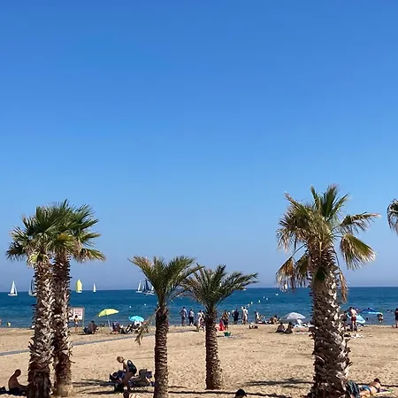 Cap Au Sud ! * Narbonne Plage