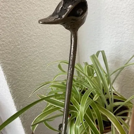 Cap Au Sud ! * Narbonne-Plage