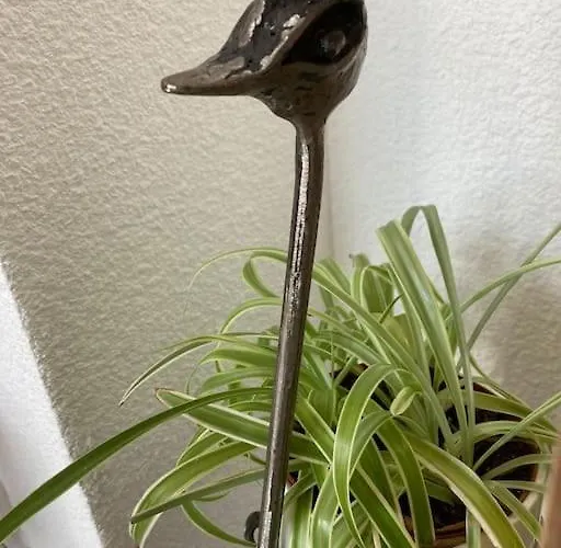 Cap Au Sud ! * Narbonne-Plage